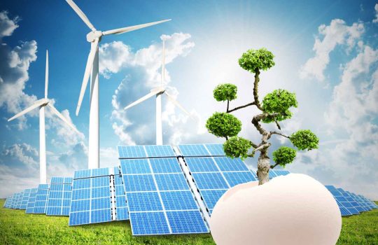 Environmental Advice2
