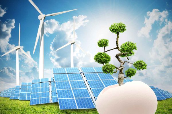 Environmental Advice2