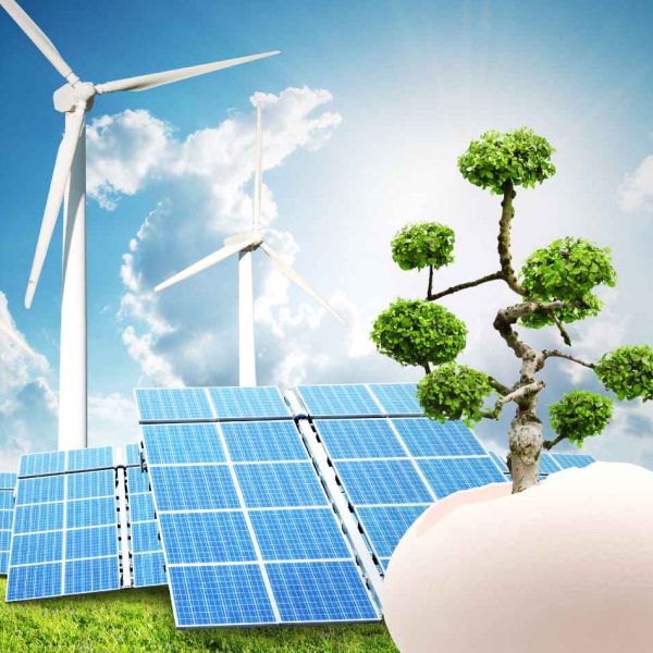 Environmental Advice2